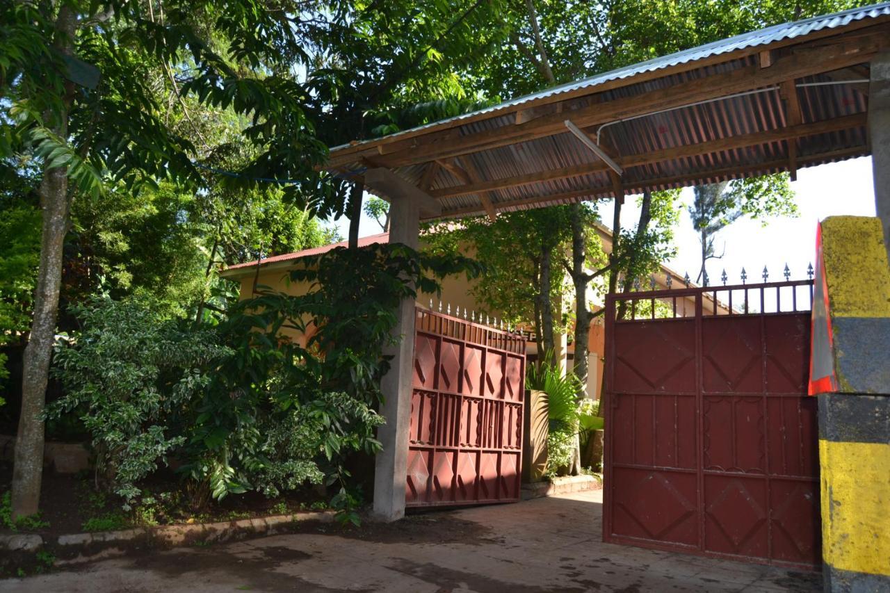 Serene Mountain Lodge Marangu ภายนอก รูปภาพ