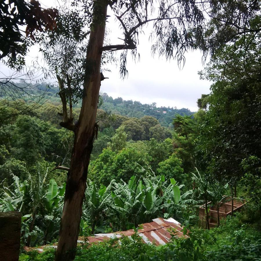 Serene Mountain Lodge Marangu ภายนอก รูปภาพ